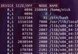 ԔLinux lsofʹ