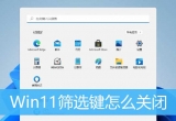 win11ϵy(tng)_˺YxI(do)IPʧЧĽQk