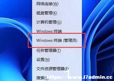 win11ϵy(tng)oLDP