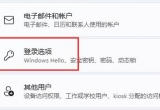 win11ϵy(tng)PINahxǻɫνQ