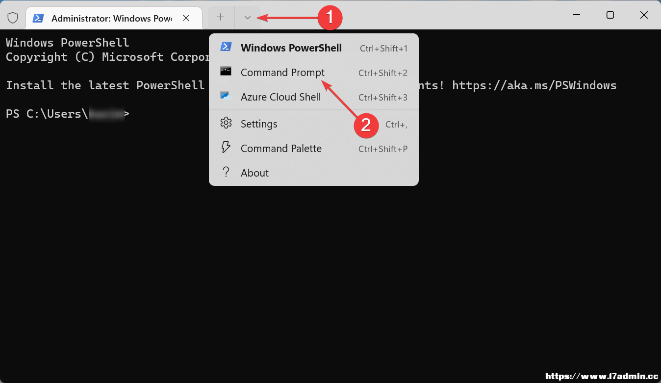 Win11νSuperfetch(w)