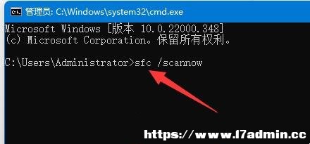 Win11(bio)Ҋ(jin)ô{(dio)(li)