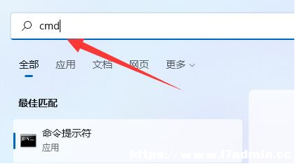 Win11νIP
