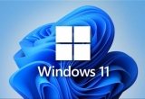 Win11XʧʾOȱҪİȫ|ޏ͡ޏͷ