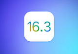 iOS/iPadOS 16.3 Beta1ʲô