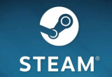 steamƽ_~ʲô˼