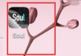 עNsoul~̖Լsoul~̖עN