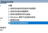 win10P(gun)]ԄӸwin11
