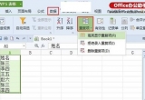 WPS̳̣WPS 2013؏헹