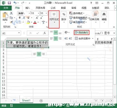 Excel2013ôM(jn)Ű?