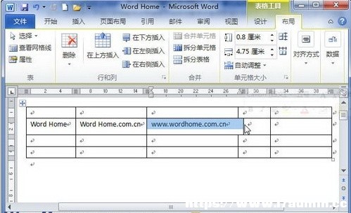 Word2010ęnτ߅{С