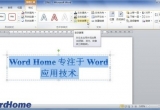 Word̳̣Word2010ęnOˇgΠ