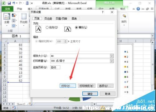 Excel2010ôֻӡD?