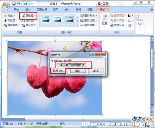 뵽word2007ęnеĈDƬ@ʾôk