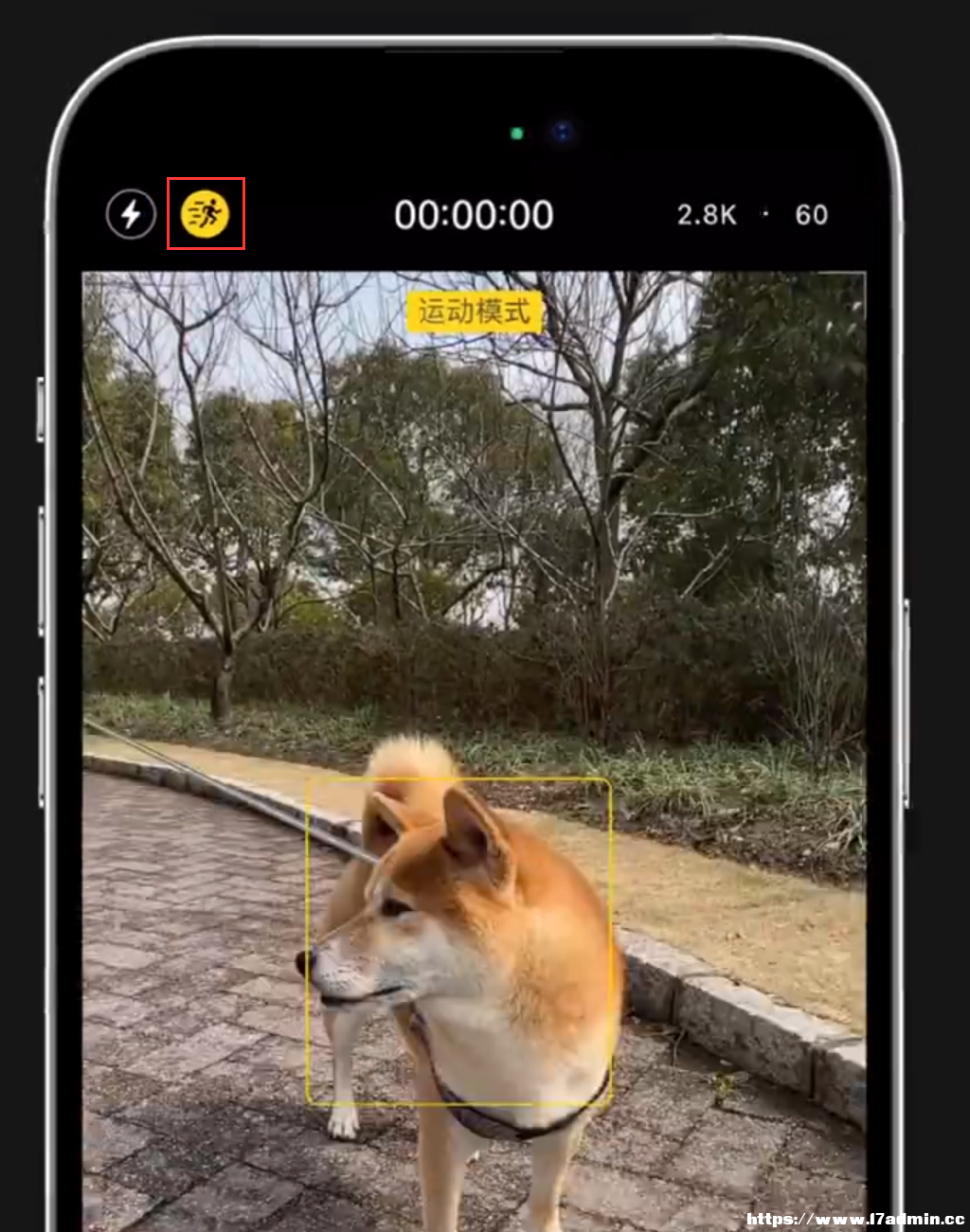 Сɣ iPhone 14 ֳĔzҲܱ֮淀